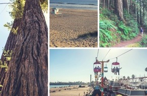 Visit Santa Cruz County: Hollywood made in Santa Cruz: Wenn Mammutbaumwälder als Filmkulisse dienen