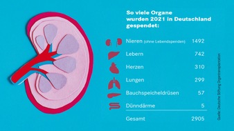 Wort & Bild Verlag - Gesundheitsmeldungen: Organspende: So entscheiden Sie selbst / Ein Online-Register soll das Ja oder Nein zur Spende von Organen wie Nieren, Lebern oder Herzen erleichtern