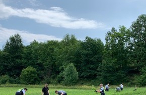 Kreispolizeibehörde Siegen-Wittgenstein: POL-SI: Polizei stellt große Menge an Hanfpflanzen auf Acker sicher -#polsiwi