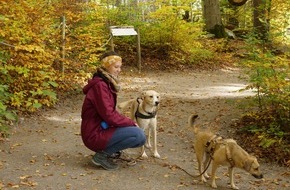 VIER PFOTEN - Stiftung f&uuml;r Tierschutz: Herbstfeste sind kein Hundeplausch