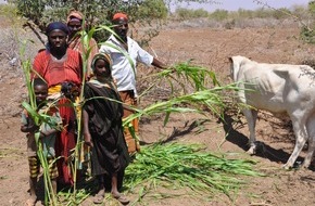 World Vision Deutschland e.V.: Dürre in Äthiopien: Anhaltende Dürre zwingt tausende Mädchen in Äthiopien in die Frühverheiratung
