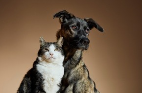 Fondazione Capellino: "AdoptMe" - I'm real / Die Fondazione Capellino startet eine einzigartige, poetische Kampagne für eine Welt, in der keine Katze oder kein Hund in einem Tierheim leben muss