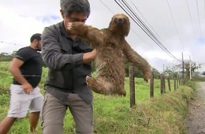 "Die große Show der Naturwunder": Öko-Wunderwelten und Spurensucher