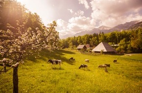 Ballenberg - Freilichtmuseum der Schweiz: Ballenberg ist bereit / Das Freilichtmuseum startet am 19. Mai 2020 in die Saison