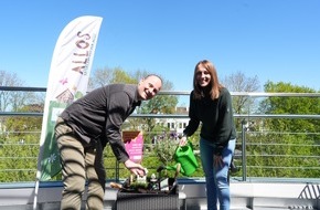 Allos Hof-Manufaktur: Heimspiel f&uuml;r die Artenvielfalt: Green Partnerschaft Allos x Werder Bremen