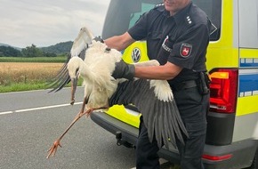 Polizeiinspektion Goslar: POL-GS: Langelsheim, Pressebericht vom 26.07.2024