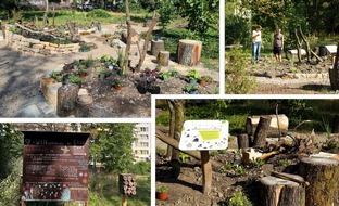 Berliner Friedhof 🪦: Stiftung für Mensch und Umwelt setzt neue Impulse zur Förderung der Biodiversität 🌿 🌼 🐝