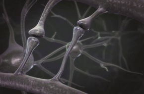 Nutricia GmbH: Neu bei Alzheimer-Krankheit im Frühstadium: Medizinische Ernährung als vielversprechendes Therapiekonzept (BILD)
