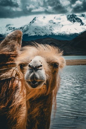 Mit Eberhardt TRAVEL nach Xinjiang: 18 Tage Natur & Kultur im Wilden Westen Chinas
