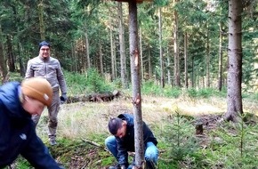 Bergwaldprojekt e.V.: Über 30 Freiwillige mit dem Bergwaldprojekt im Einsatz für eine naturnahe Waldentwicklung im Zukunftswald Unterschönau