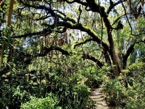 Der Charme des ursprünglichen Floridas – der entspannte Lebensstil der Bradenton Gulf Islands
