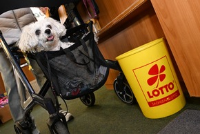 Frank Mietke: Sachsenlotto-Annahmestellen zwischen Institution und Innovation