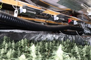 POL-MR: Professionelle Cannabis-Plantage sichergestellt - Haftbefehle gegen zwei Beschuldigte