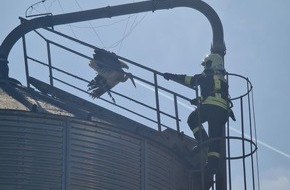 Freiwillige Feuerwehr Lügde: FW Lügde: Feuerwehr befreit Storch aus Notlage