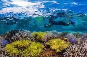 Universität Bremen: 2020 - Bremen im Zeichen der Korallenriffe