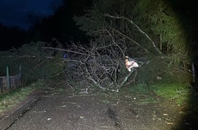 Polizeidirektion Landau: POL-PDLD: Windbruch legt Landstraße 490 lahm