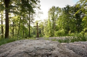 FriedWald GmbH: Stetig wachsender Zuspruch für FriedWald