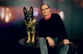 Crime + Investigation (CI): Jim Belushi und die Helden auf vier Pfoten: In neuer Doku-Reihe auf Crime + Investigation zeigt der Hollywood-Star Polizeihunde im Einsatz