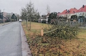 Landespolizeiinspektion Nordhausen: LPI-NDH: Baum und Schild beschädigt, die Polizei sucht Zeugen