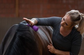 Julia Greb: 5 Faktoren entscheiden: Woran erkenne ich einen guten Tierarzt für mein Pferd?