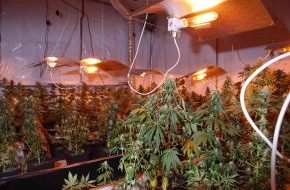 Polizeiinspektion Hameln-Pyrmont/Holzminden: POL-HOL: In einem leerstehendes Wohnhaus in Delligsen (LK Holzminden): Cannabis-Indoorplantage entdeckt - Drei Tatverdächtige ermittelt -