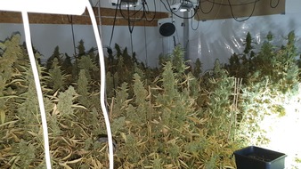 Polizei Dortmund: POL-DO: Cannabis-Plantage in Hörde entdeckt