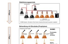 Deutsche Homöopathie-Union DHU-Arzneimittel GmbH & Co. KG: Studie zeigt Wirkung von Okoubaka bei bakteriellen Belastungen des Darms / Neue Forschung zu homöopathischem Arzneimittel