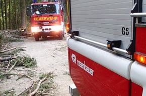 Feuerwehr Plettenberg: FW-PL: 4 Tage nach Waldbrand am Böhl erneut Feuerwehreinsatz in Kahlschlagfläche