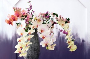 Blumenbüro: Orchideen verbreiten Schönheit und Harmonie / Positive Energie im Haus mit der Feng Shui Meisterin Orchidee