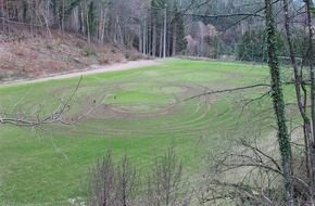 Polizeidirektion Pirmasens: POL-PDPS: Mit PKW auf Sportplatz