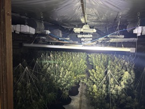 POL-GÖ: (135/2025) Zwei weitere Indoor-Plantagen im Altkreis Osterode entdeckt - Über 2.000 Pflanzen und umfangreiche Anbautechnik beschlagnahmt, 56-Jähriger festgenommen, Ermittlungskommission eingerichtet