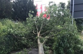 Polizeipräsidium Nordhessen - Kassel: POL-KS: Unfallflucht: Umgestürzter Baum kracht auf Baumarktzaun;
Polizei sucht LKW und genaue Unfallzeit