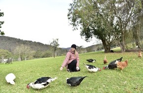 VIER PFOTEN - Stiftung für Tierschutz: VIER PFOTEN-Ratgeber mit 60 neu bewerteten Modemarken