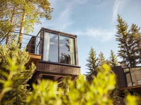 Shinrin Yoku: Darum wird der Wald zum neuen Anti-Stress-Hotspot