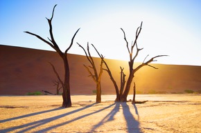 AFRIKA - DAS MAGISCHE KÖNIGREICH / Ab 5. März 2015 im Kino