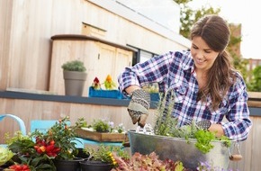 toom Baumarkt GmbH: Gärtnern ohne Torf / Aktuelle forsa-Umfrage zeigt: Immer mehr Hobbygärtner entscheiden sich für torffreie Erde in Bio-Qualität