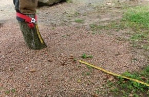 Polizeidirektion Kaiserslautern: POL-PDKL: -Slackline durchtrennt - Wer macht so etwas?