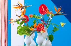 Blumenbüro: Geballte Farbpower aus Strelitzie, Gloriosa und Anthurie / Tropischer Spätsommer mit floralen Exoten