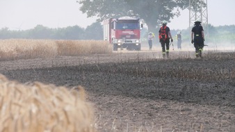 Freiwillige Feuerwehr Celle: FW Celle: 30.000 m² Stoppelfeld brennen in Garßen