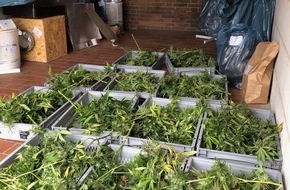 Polizeipräsidium Osthessen: POL-OH: Cannabis-Plantage ausgehoben (Foto in my news aktuell)
