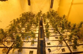 Bundeskriminalamt: BKA: Staatsanwaltschaft Kleve und Bundeskriminalamt teilen mit: Erfolgreicher Schlag gegen Rauschgifthändler - Cannabis-Indoorplantagen ausgehoben