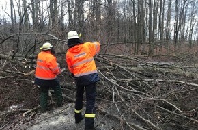 Freiwillige Feuerwehr Leopoldshöhe: FW Leopoldshöhe: Flächenlage Sturmtief "Friederike"