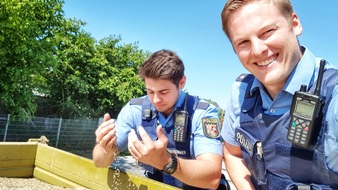 POL-PDLD: &quot;Rogg&apos;n&apos;Roll&quot; in Rülzheim führt zu Polizeieinsatz