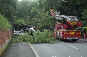 Feuerwehr Dortmund: FW-DO: Baum begräbt Lieferwagen unter sich