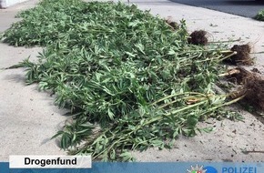 Kreispolizeibehörde Euskirchen: POL-EU: Cannabispflanzen auf Feldweg entsorgt - Tatverdächtigen ermittelt