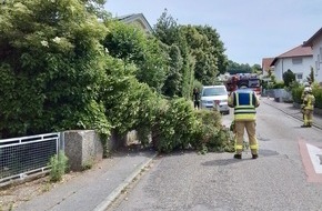 Feuerwehr Weinheim: FW Weinheim: Gewitter sorgt für zahlreiche Einsätze der Weinheimer Feuerwehr