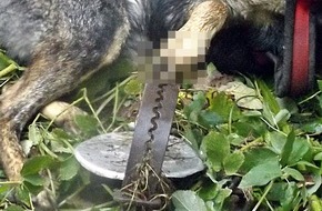 Polizeiinspektion Schwerin: POL-SN: Hund in Tellereisenfalle geraten, Kripo sucht Zeugen