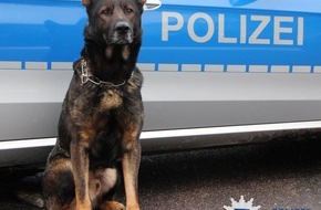 Polizei Hamburg: POL-HH: 181028-1. Diensthund "Hank" spürt Einbrecher auf! Drei vorläufige Festnahmen nach Einbruch in Hamburg-Osdorf