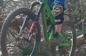 Polizeidirektion Landau: POL-PDLD: Grünes Mountainbike entwendet, Zeugen gesucht