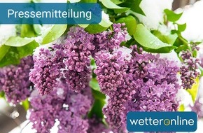 WetterOnline Meteorologische Dienstleistungen GmbH: Kommende Woche Schnee? - Zunächst sehr warm